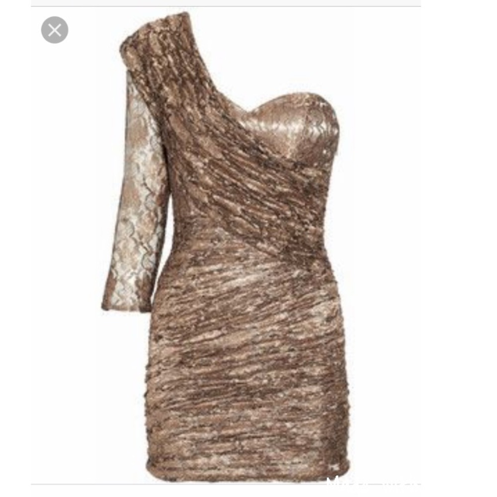 NWT Rare Opulence Lacy dress